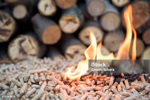 Biomass Stock Photo - Download Image Now - Granule, Wood - Material, Biomass - Renewable Energy Source