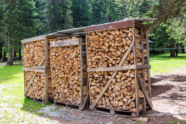 istock background of chopped wood 876147310