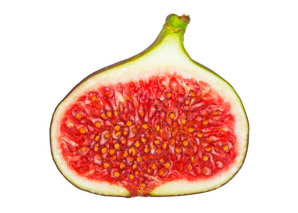 istock Half of fresh fig isolated on a white background 876149818