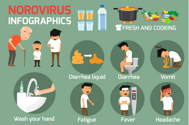 Norovirus (Winter Vomiting Bug): Symptoms and Treatment. Norovirus infographics elements. vector illustration. vector art illustration