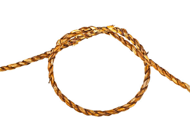 istock Natural rope in the shape of a loop on a white background 876153812