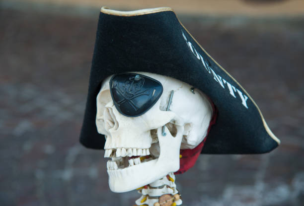 jolly roger. czaszka w pirackim kapeluszu. сaricature śmierci - liquor store zdjęcia i obrazy z banku zdjęć