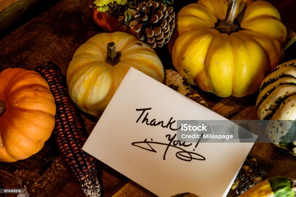 Happy Thanksgiving Card with words Thank you on handwritten card Autumn harvest on rustic wood background Vintage Happy Thanksgiving greeting card with handwritten thank you, photography and social share image for wishing clients and business Thank You on pumpkins, gourd, Indian corn, acorn and squash on rustic wood table background high angle view conceptual Thanksgiving harvest and autumn season background with room for copy space Thanksgiving - Holiday Stock Photo