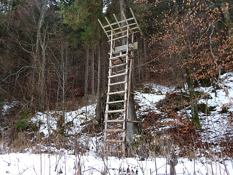 Wooden hunting hide, Wooden pulpit for hunting