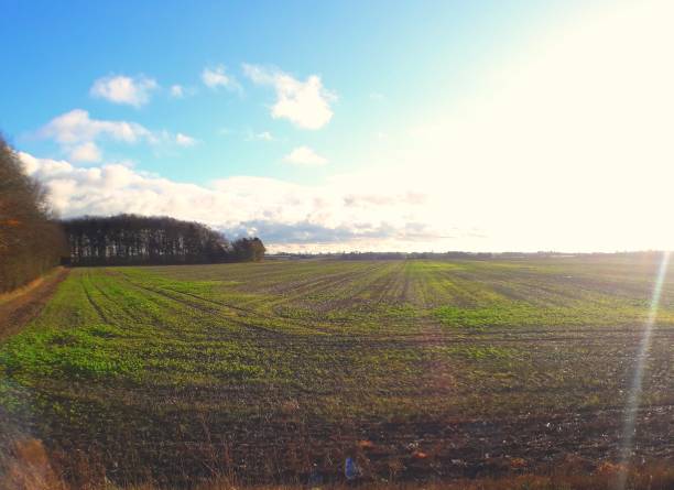 istock Landscape of farm after harvest 876175042