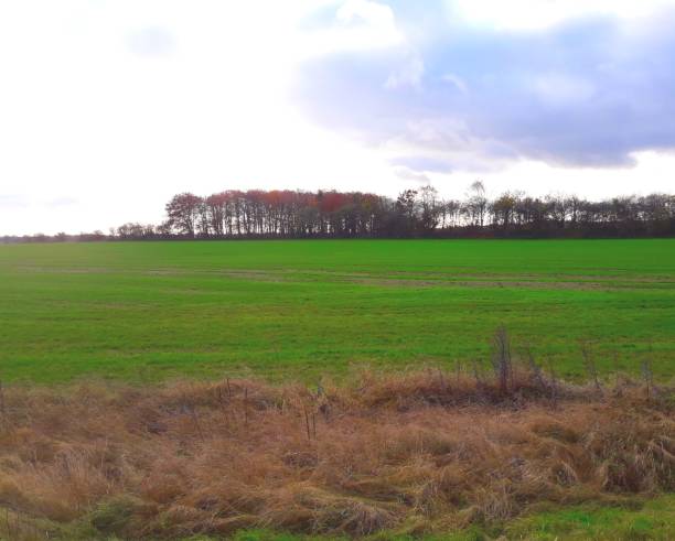 istock Landscape of farm field 876175046