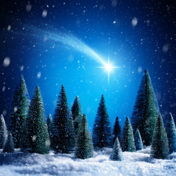 Christmas Star Shotting In Snowy Forest