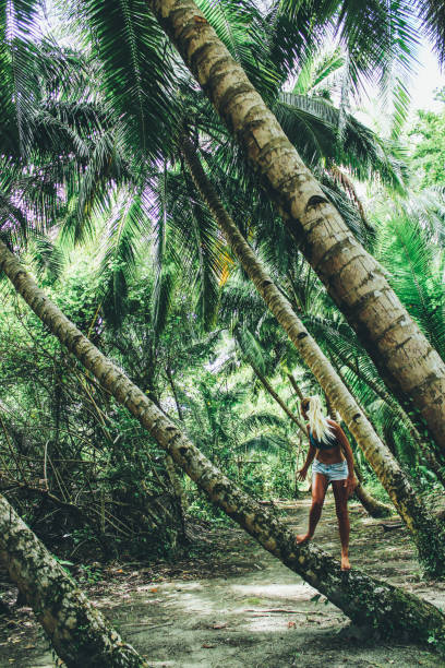 istock Young women climbing on palm tree 876178608