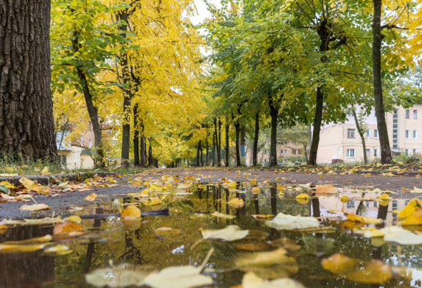 istock City park in the autumn. 876180978