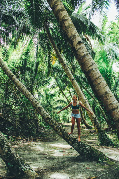 istock Young women climbing on palm tree 876181008