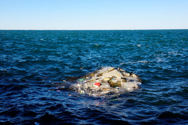 Garbage floating on Lake Michigan, Chicago.