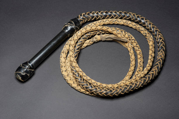 coiled leather bullwhip - bullwhip imagens e fotografias de stock