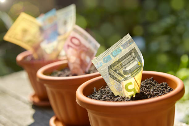 istock Rolled money bills in flowerpots 876187740
