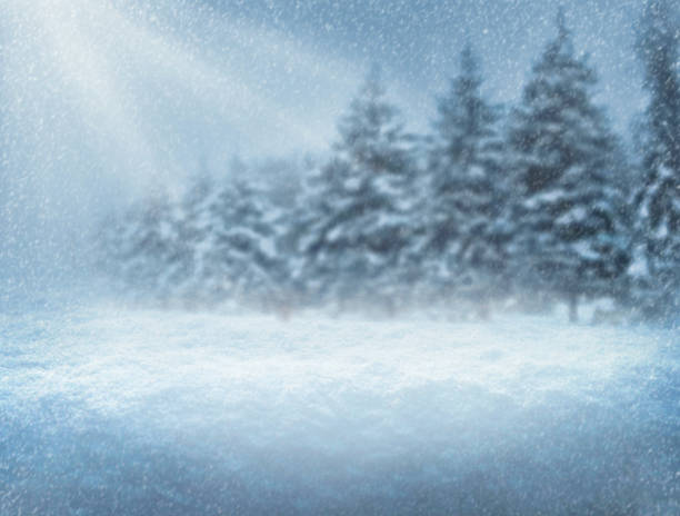 istock Snowfall in the forest. Christmas night. New Year background. Blurred background. 876190594