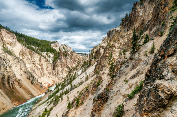 Rapids in the colored canyon of the Yellowstone river in Yellowstone National Park