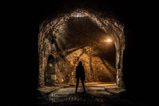 istock Mysterious Silhouette Standing at a Fortress Enterance 876197148
