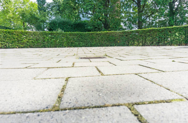istock Cobbled yard surrounded by circular well maintained hedge background and tall green trees. 876202578