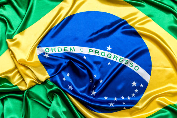 istock Authentic flag of the Brazil 876205704