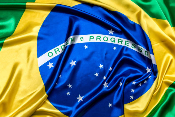 istock Authentic flag of the Brazil 876205712