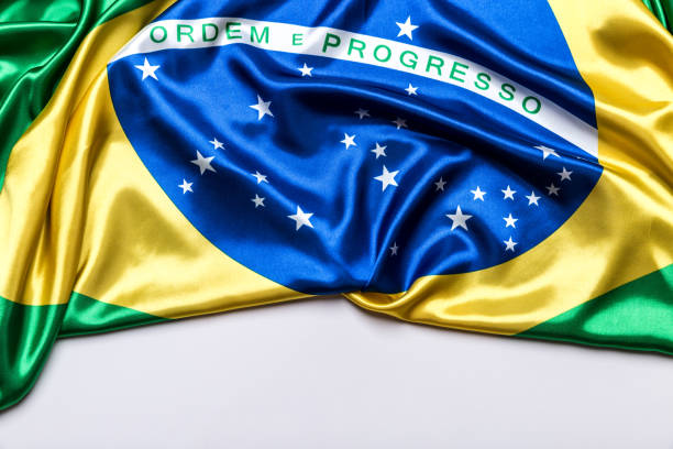 istock Authentic flag of the Brazil 876205730