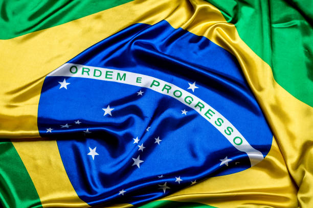 istock Authentic flag of the Brazil 876205736