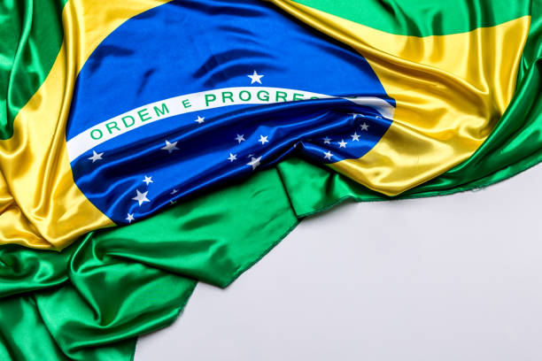 istock Authentic flag of the Brazil 876205738