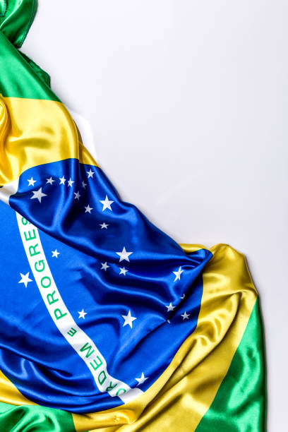 istock Authentic flag of the Brazil 876205740