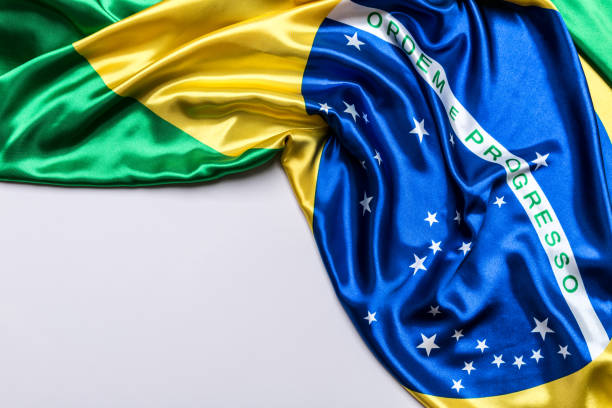 istock Authentic flag of the Brazil 876205742