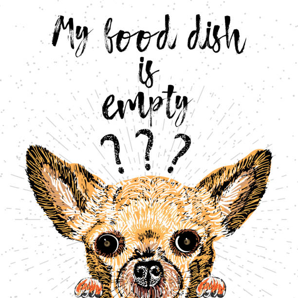 istock My food dish is empty. Vector illustration with hand drawn lettering and dog on texture background. Inscriptions for dog lovers. Brush lettering. Custom typographic. calligraphy. Demanding phrase. 876209970