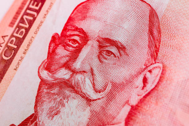 istock Serbian 1000 dinara currency banknote, close up. 876212414
