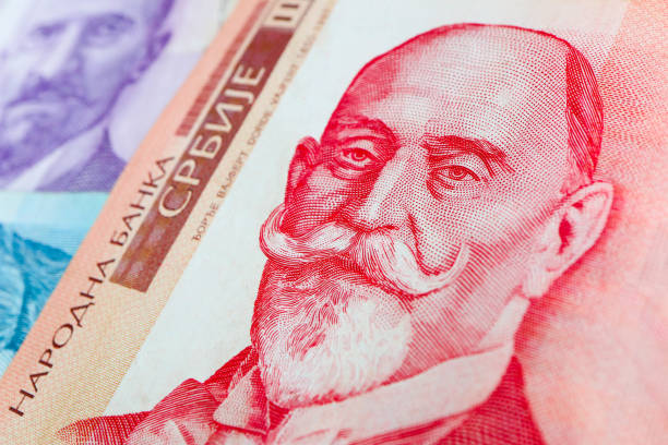 istock Serbian 1000 dinara currency banknote, close up. 876212468