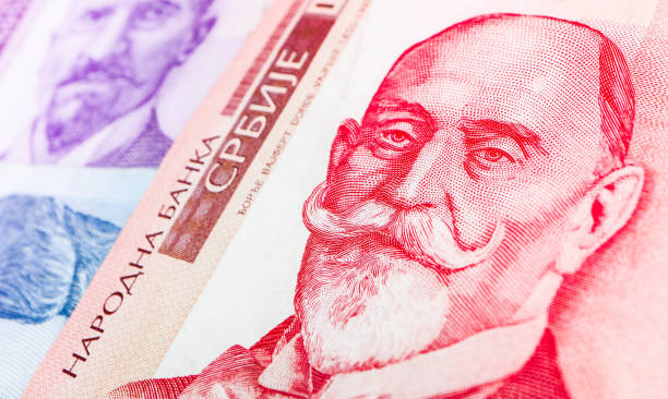 istock Serbian 1000 dinara currency banknote, close up. 876212510