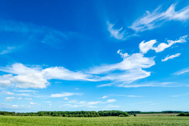 istock Landscape in a rural countryside environment 876216176