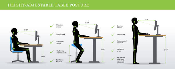 korrekte haltungen für höhenverstellbaren und stehen schreibtische - posture stock-grafiken, -clipart, -cartoons und -symbole