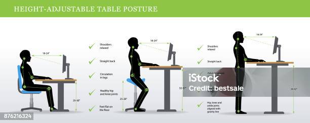 Postures Correctes Pour Réglable En Hauteur Et Dun Bureau Permanent Vecteurs libres de droits et plus d'images vectorielles de Ergonomie