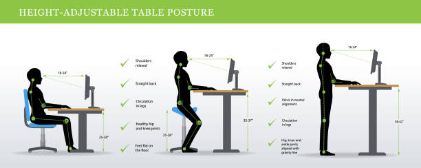 Correct postures for Height Adjustable and Standing Desks Height Adjustable and Standing Desks correct poses. Ergonomics healthy postures. adjustable stock illustrations