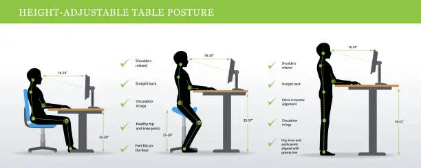 Vector illustration of Correct postures for Height Adjustable and Standing Desks