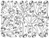 Hand Drawn of Mung Beans and Bean Sprouts Background