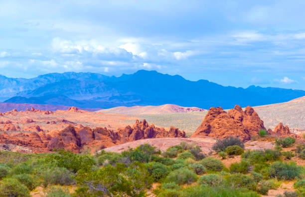 istock The Valley of Fire State Park, USA. 876232754