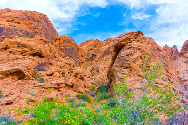 istock The Valley of Fire State Park, USA. 876233234
