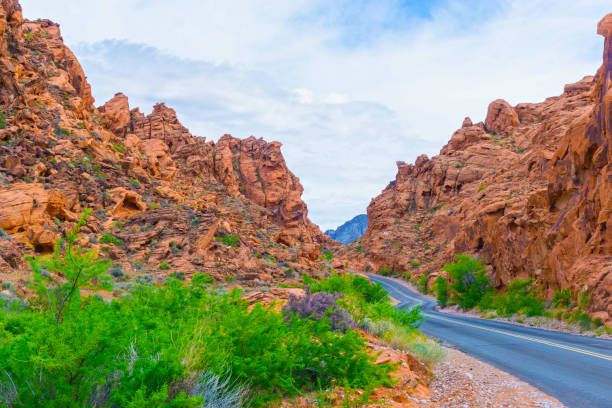 istock The Valley of Fire State Park, USA. 876233472