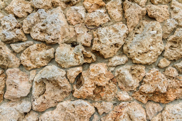 istock Porous Rock Used To Form A Barrier Wall 876233586