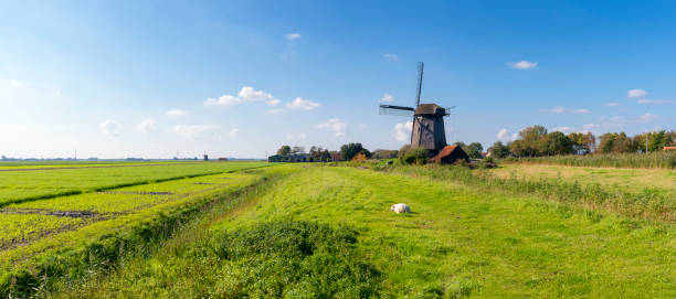 Panoramic of a windmill near Schermerhorn, Netherlands