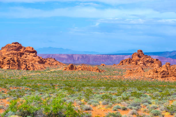 istock The Valley of Fire State Park, USA. 876236128
