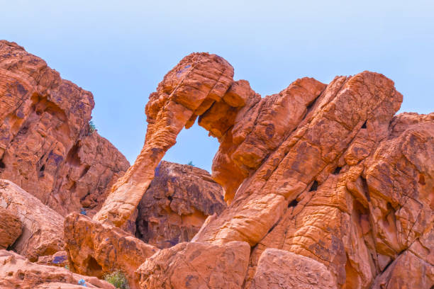 istock Elephant Rock in Valley of Fire State Park, USA. 876236276