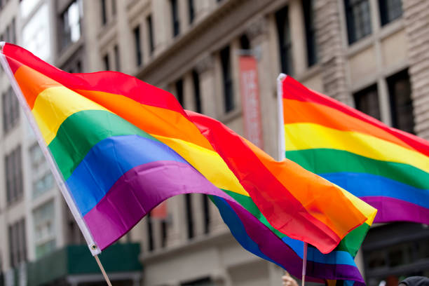 desfile del orgullo de ciudad de nueva york - las banderas - gay pride flag fotografías e imágenes de stock