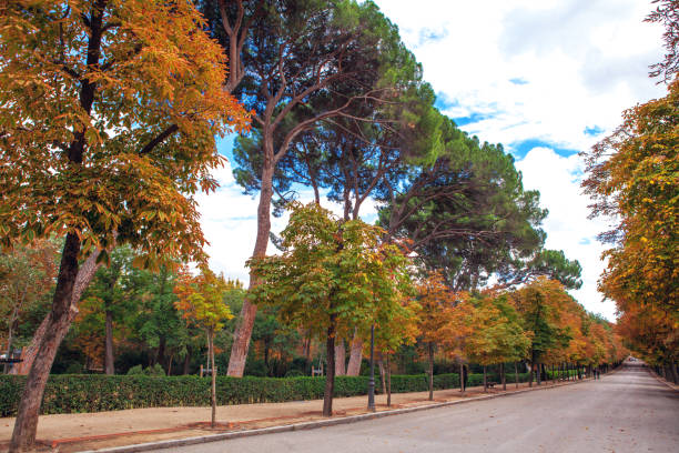 istock Autumn in Buen Retiro Park. Madrid. 876242582