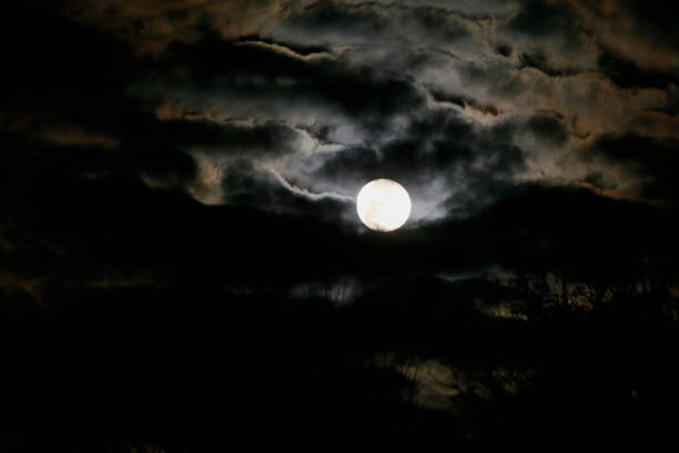 istock The 2016 Hunter's Supermoon rises in Bloomington, Indiana. 876245922
