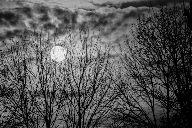 istock The 2016 Hunter's Supermoon rises in Bloomington, Indiana. 876245932