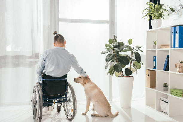 istock man on wheelchair petting his dog 876250242